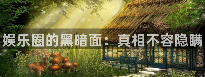 恒行5：娱乐圈的黑暗面：真相不容隐瞒