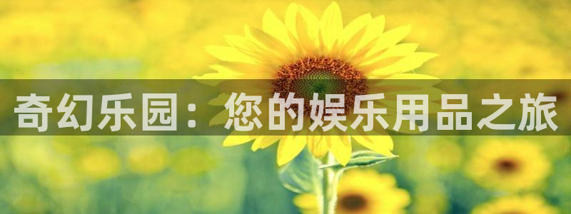 恒行5官网体验k88v典cc：奇幻乐园：您的娱乐用品之旅