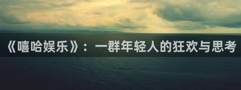 恒行5官网体验k88v典cc：《嘻哈娱乐》：一群年轻人的狂欢与思考