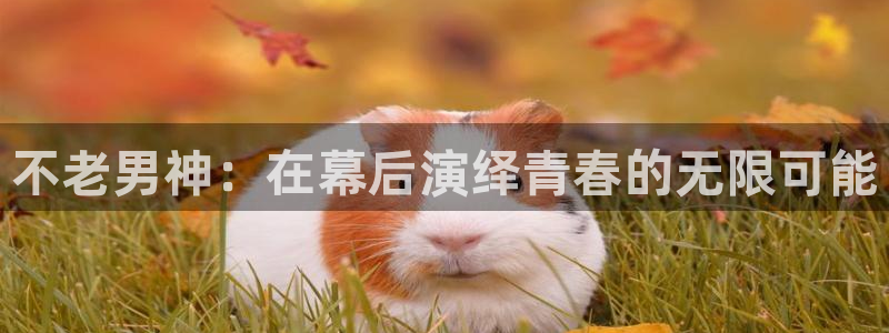 恒行5官网体验k88v典cc：不老男神：在幕后演绎青春的无限可能