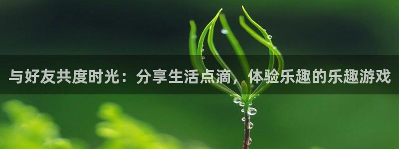 恒行5官网体验k88v典cc：与好友共度时光：分享生活点滴，体验乐趣的乐趣游戏