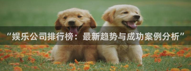 恒行5官网体验k88v典cc：“娱乐公司排行榜：最新趋势与成功案例分析”