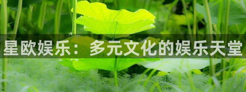 恒行5娱乐：星欧娱乐：多元文化的娱乐天堂