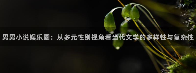 upload/20250701114914.jpg